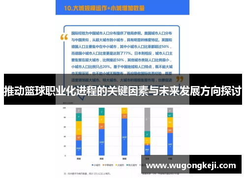 推动篮球职业化进程的关键因素与未来发展方向探讨