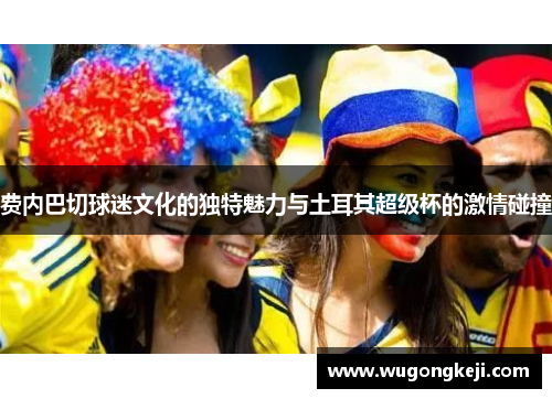 费内巴切球迷文化的独特魅力与土耳其超级杯的激情碰撞