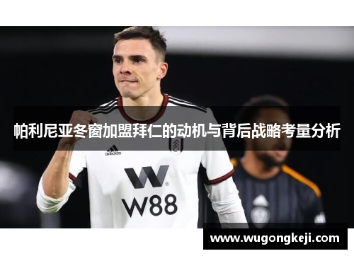 帕利尼亚冬窗加盟拜仁的动机与背后战略考量分析 帕利尼亚冬窗加盟拜仁的动机与背后战略考量分析