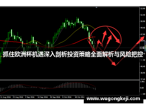 抓住欧洲杯机遇深入剖析投资策略全面解析与风险把控